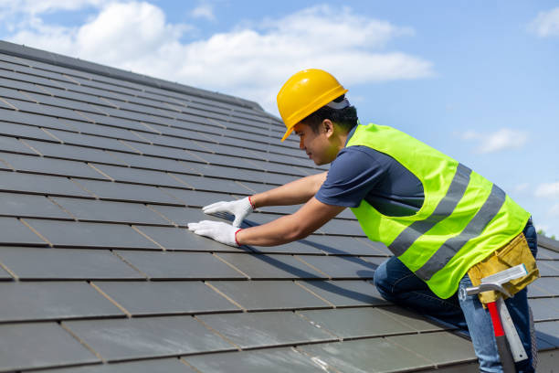Best Solar Panel Roofing Installation  in Johnson City, TN