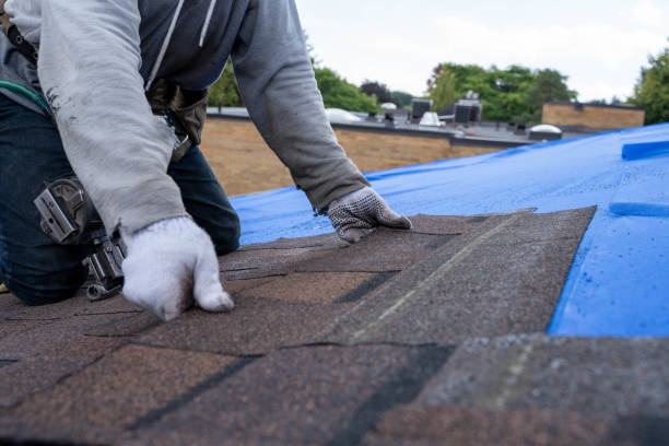 Best Storm Damage Roof Repair  in Johnson City, TN