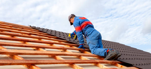 Best Metal Roofing Installation  in Johnson City, TN