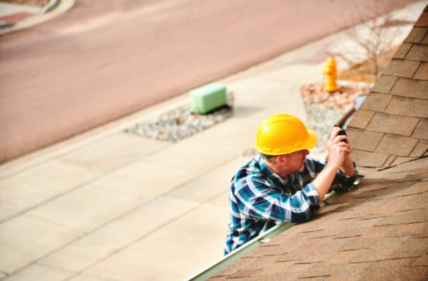 Best Chimney Flashing Repair  in Johnson City, TN